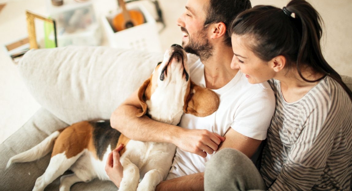 Couple with dog